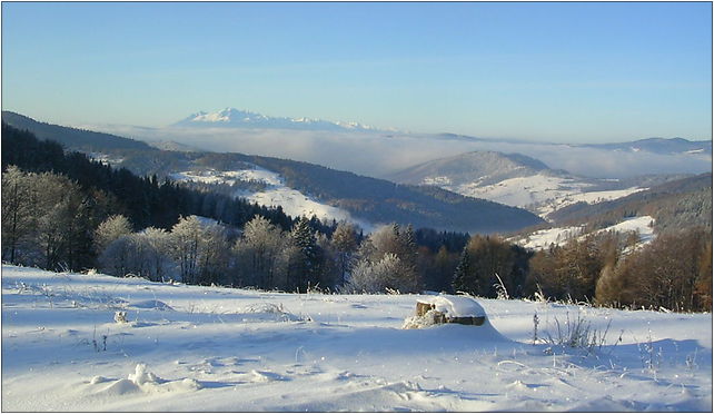 Beskid Sadecki Wierchomla Wielka I Mala