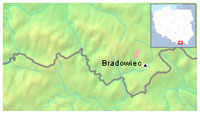 Bradowiec