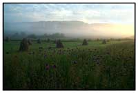 Beskid Sdecki - klimat