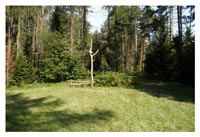 Krynica-Zdrój - przełęcz Krzyżowa 770 m n.p.m. 