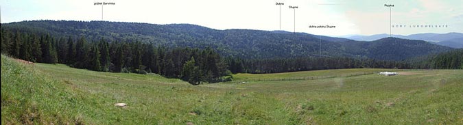 Widok z Roztoki nad Wojkow na dolin potoku Stupne