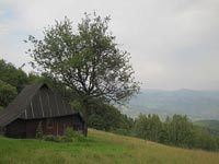 Kurna chata na polanie Poczekaj