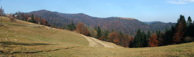 Dolina Czercza w jego górnej, źródłowej części. Widok z Obidzy