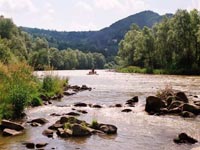 Rzeka Poprad - Piwniczna-Zdrój