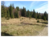 Beskid Sdecki - Polana Cyrla