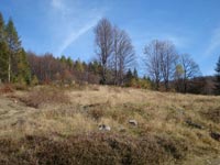 Beskid Sdecki - Polana Cyrla