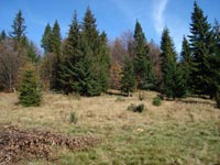 Beskid Sdecki - Polana Cyrla