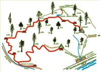 Maoa ścieżki przyrodniczej Las Lipowy Obrożyska