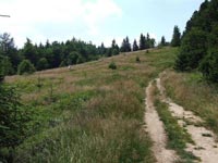 Beskid Sdecki - Polana Cyrla