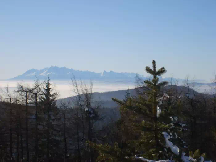 Widok na Tatry z Jaworzyny fot. fotoleszek