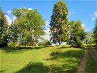 Widok z Polany Kordowiec fot. beskidsadecki.eu