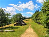 Widok z Polany Poczekaj fot. beskidsadecki.eu