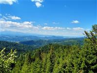 Widok z Wielkiego Rogacza fot. beskidsadecki.eu