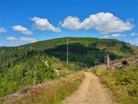 Widok z Wielkiego Rogacza fot. beskidsadecki.eu