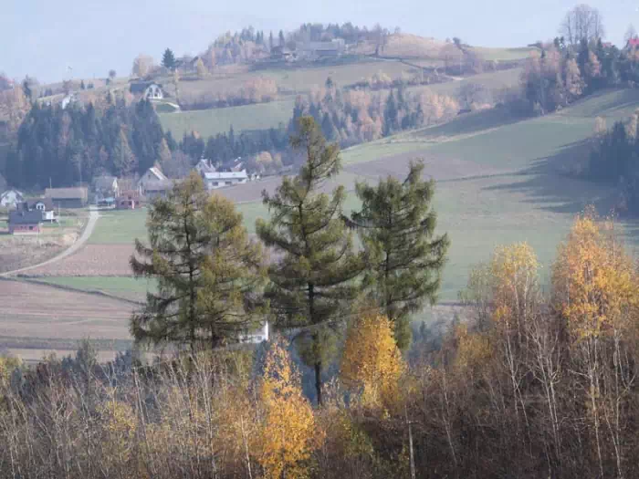 Beskid Sądecki Jazowsko - Przehyba 