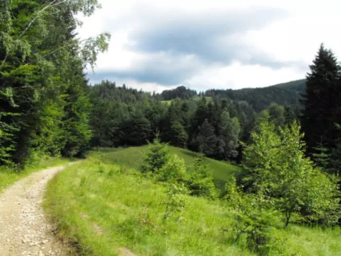 Przełęcz Bukowina 
