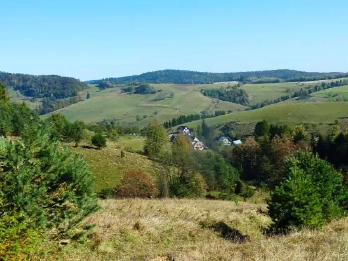 Gry Leluchowskie fot. Czasbochenski.pl