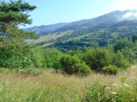 Piwniczna Zdrj-migowskie