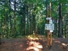 Szlak Krynica Zdrj - Gra Parkowa - Huzary