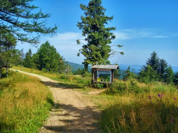 Odejcie do Schroniska z czerwonego szlaku GSB fot. beskidsadecki.eu