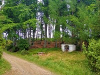 Podejcie na szczyt JAworzynka 1001 m.n.p.m.-szlak ty
