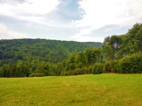 Podejcie na szczyt JAworzynka 1001 m.n.p.m.-szlak ty 