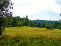 Podejcie na szczyt JAworzynka 1001 m.n.p.m.-szlak ty 