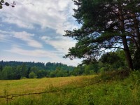 Podejcie na szczyt JAworzynka 1001 m.n.p.m.-szlak ty