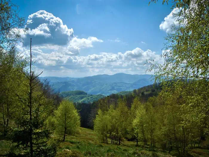 Popradzki Park Krajobrazowy fot. zpkwm.pl