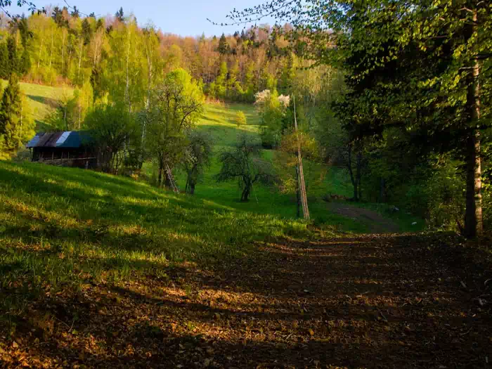 Polana Maćkowska fot. tadeusz dziedzinaC 