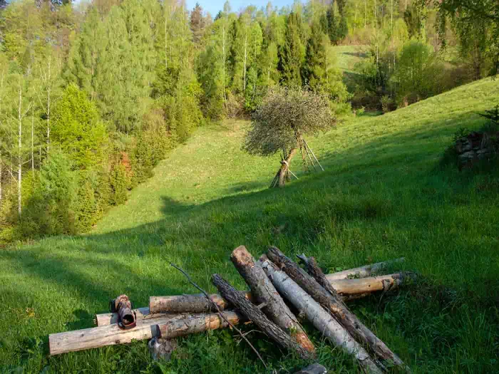 Polana Maćkowska fot. tadeusz dziedzinaC 