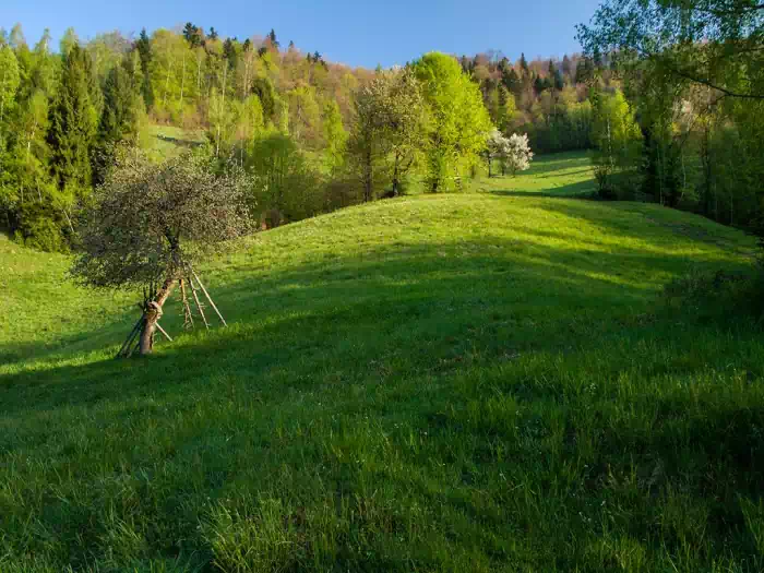 Polana Maćkowska fot. tadeusz dziedzinaC 