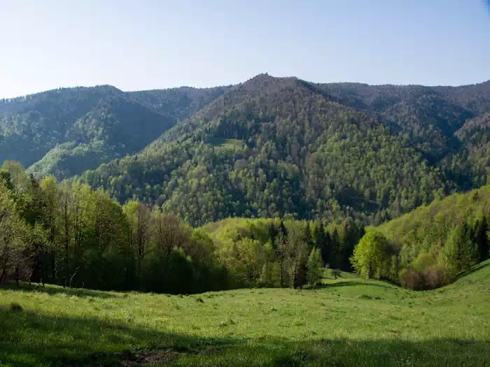 Polana Maćkowska fot. tadeusz dziedzinaC 