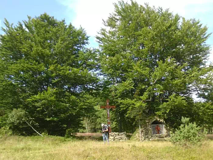 Jaworzyna Kokuszczańska (966 m n.p.m.)