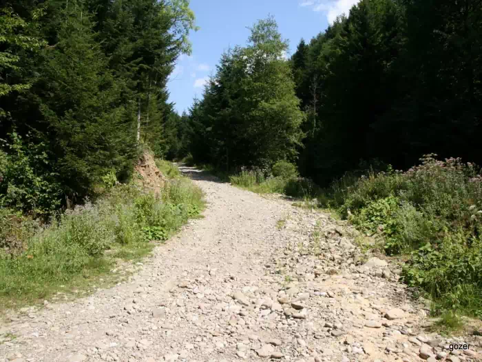 Popradzki Park Krajobrazowy fot. Artur Wolski