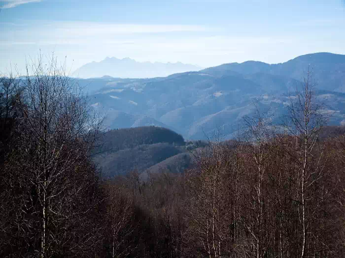 Panorama z Zadnich Gr  fot.  tadeusz dziedzinaC