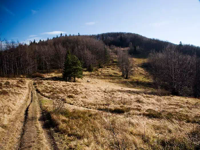 Hala Jaworzyna na Zadnich Grach fot. tadeusz dziedzinaC