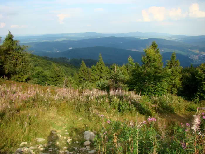 Widok z Jaworzyny Krynickiej na Beskid Sdecki fot. TOJA-B