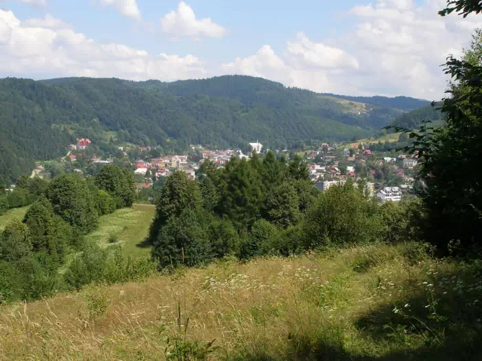 Widok na Muszyn fot. JanuszMal