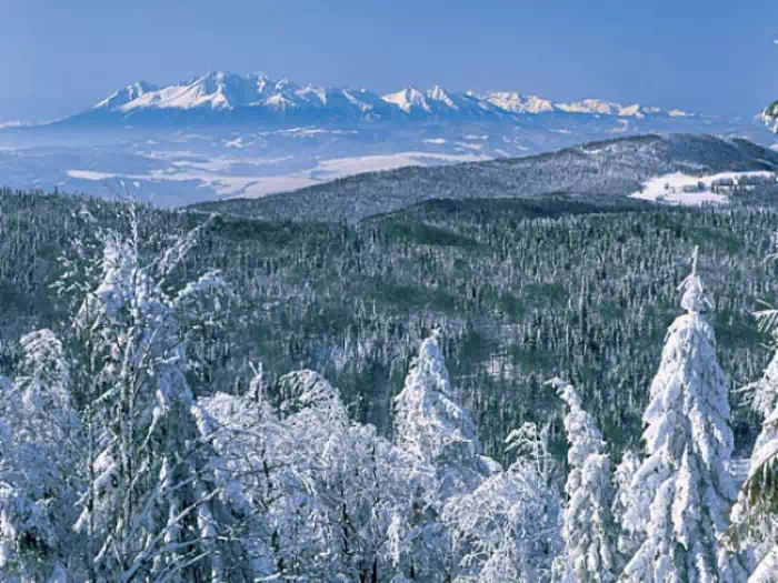 Widok na Tatry z Jaworzyny Krynickiej fot. edupedia.pl