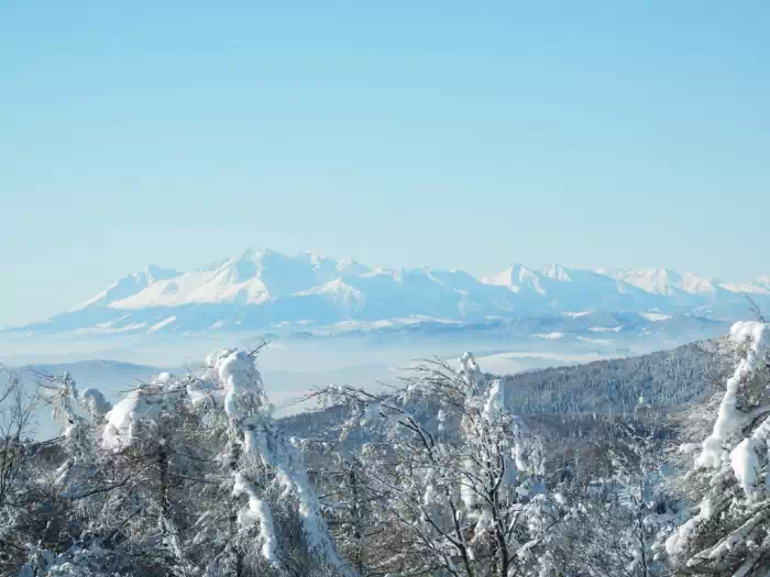 Widok na Tatry z Jaworzyny Krynickiej fot. Marcin Bakota