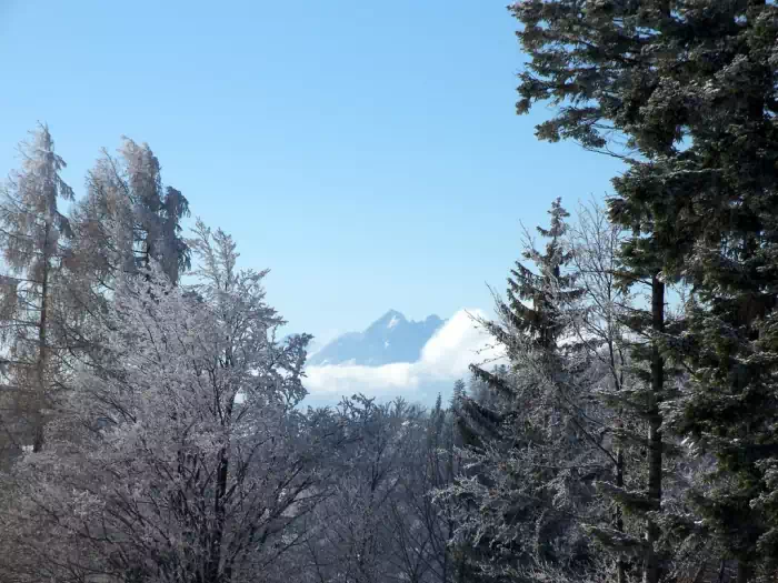 Tatry widziane z Niemcowej fot.pociag_na_cypr