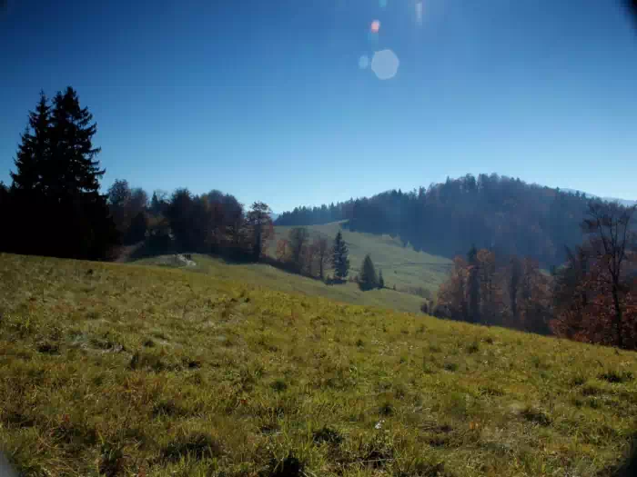 Bacwka nad Wierchoml - widok spod schroniska fot. Carolla1234