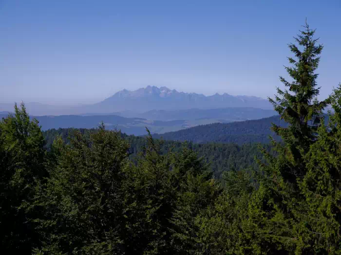 Widok na Tatry z Jaworzyny Krynickiej fot. Marcin Bakota