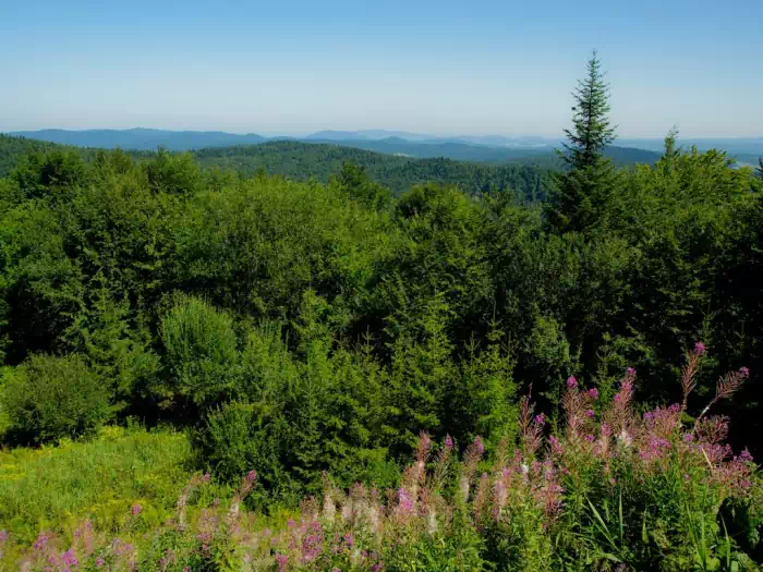 Widok na pnoc spod schroniska fot. Marcin Bakota