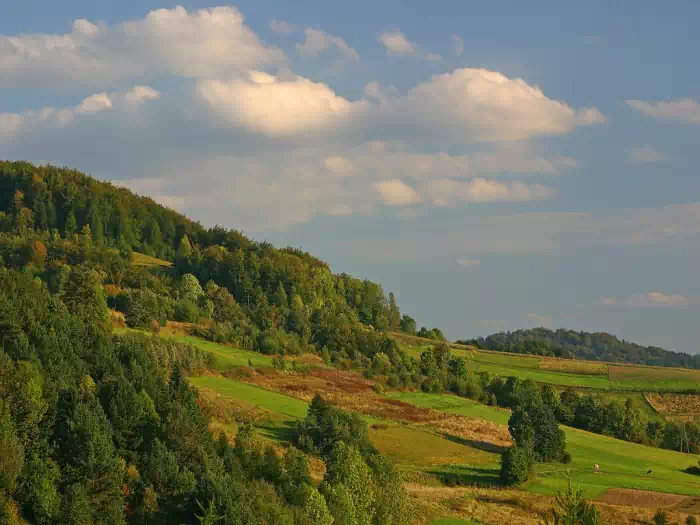 w drodze na Zamek   fot.  Edward Stoklossa