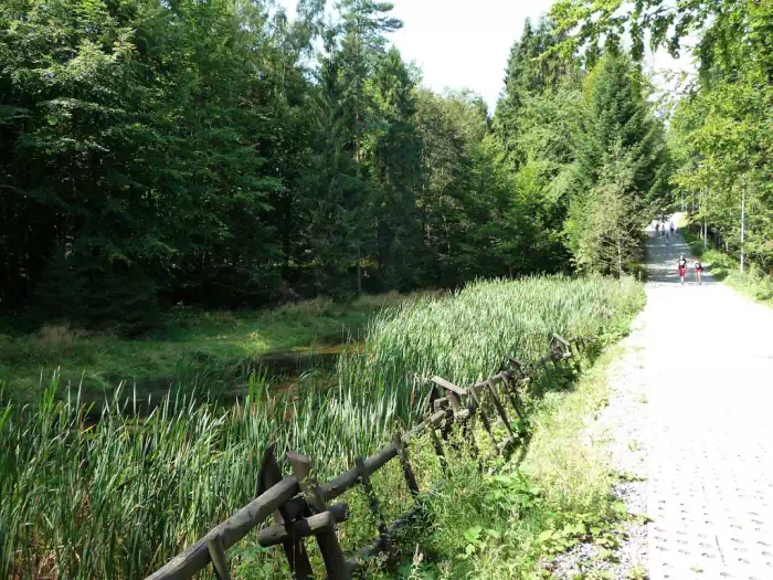 Krynica-Zdrj, Gra Parkowa, Staw Szczytowy fot. Sawos