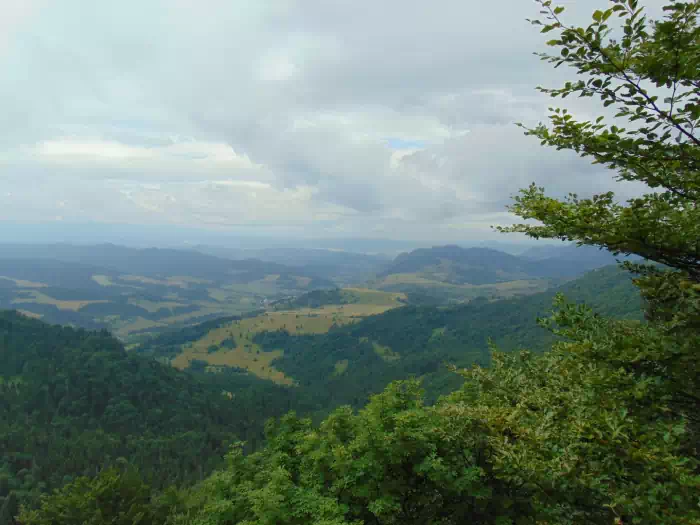 Widok z Wysokiej fot. beskidsadecki.eu