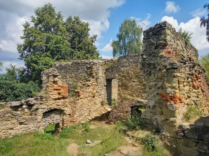 Zamek Krlewski w Nowym Sczu fot. beskidsadecki.eu