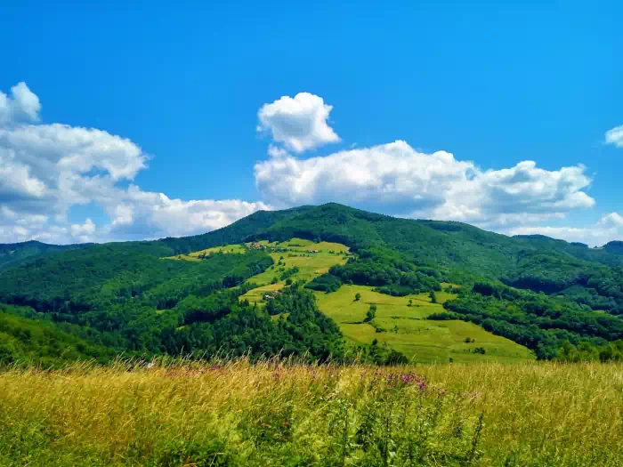 Makowica fot. beskidsadecki.eu